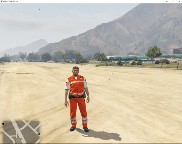 German Paramedics (Notarzt)